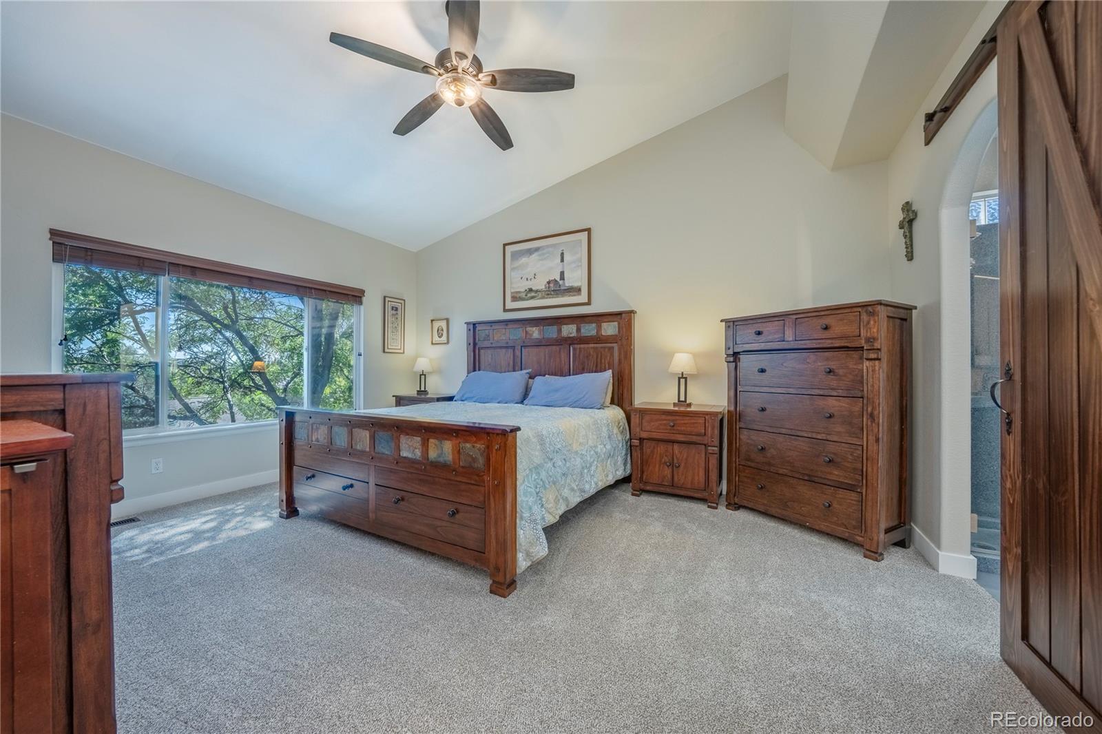 MLS Image #17 for 21802  mount snowmass lane,parker, Colorado