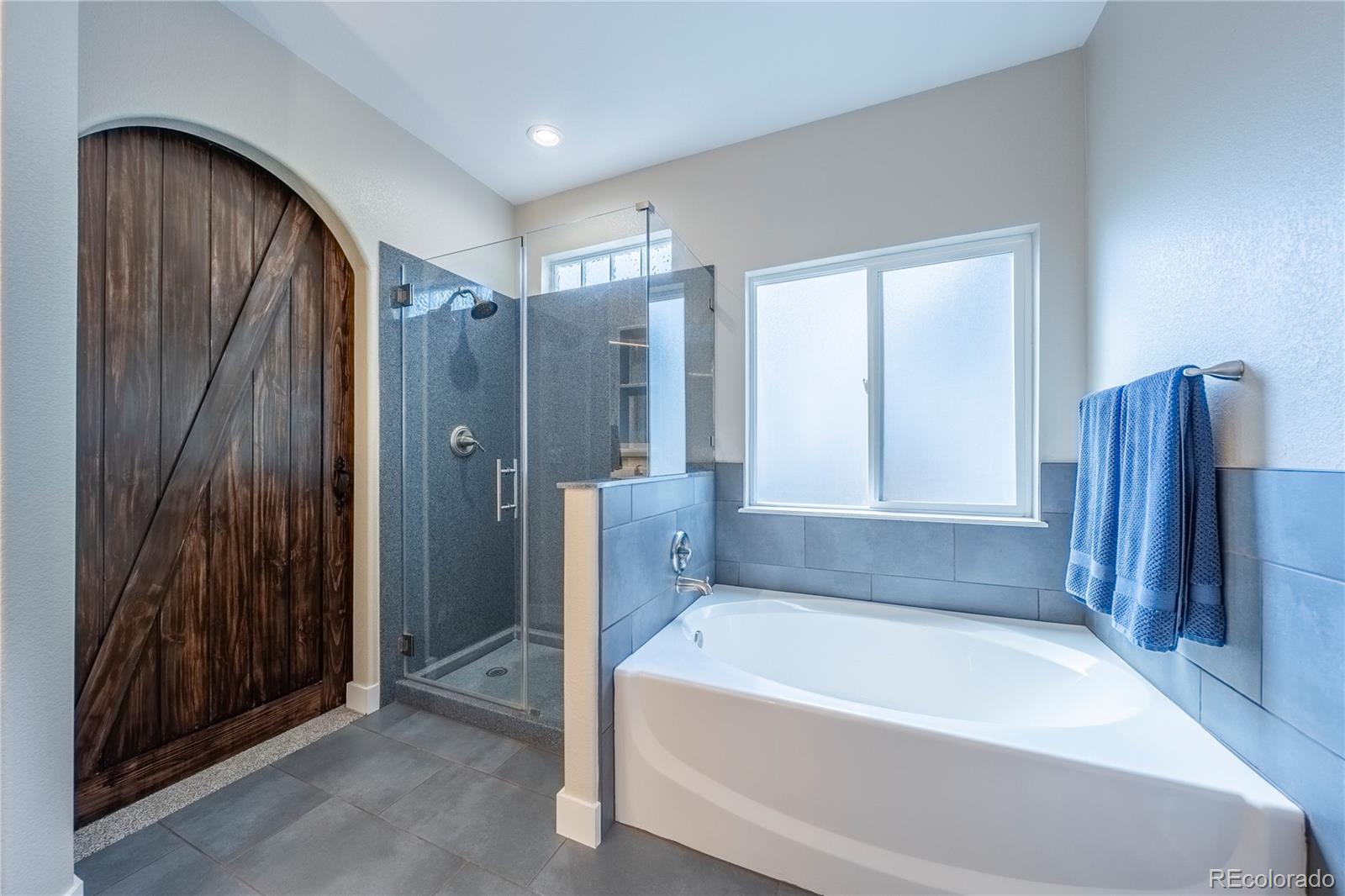MLS Image #21 for 21802  mount snowmass lane,parker, Colorado