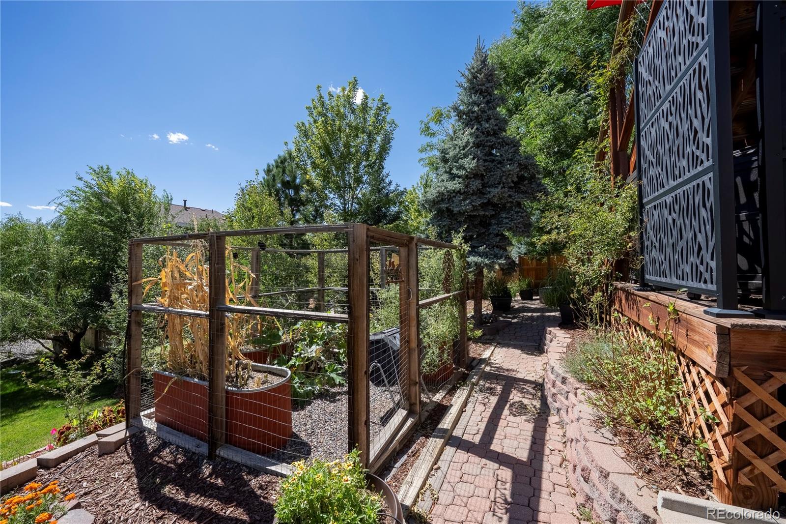 MLS Image #41 for 21802  mount snowmass lane,parker, Colorado