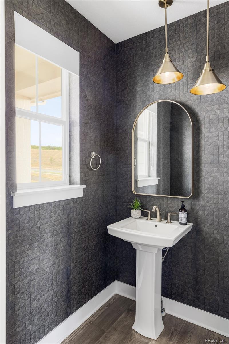 MLS Image #13 for 5477  brotherton court,castle rock, Colorado