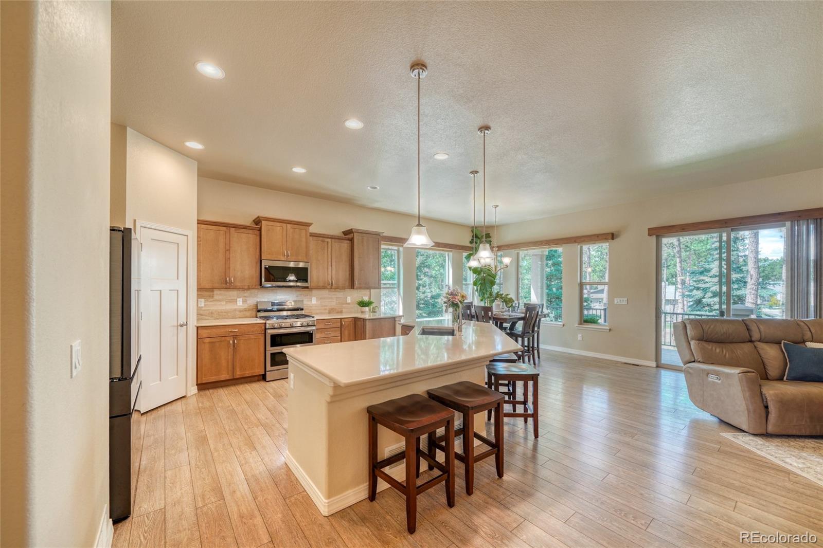 MLS Image #18 for 1782  summerglow lane,monument, Colorado