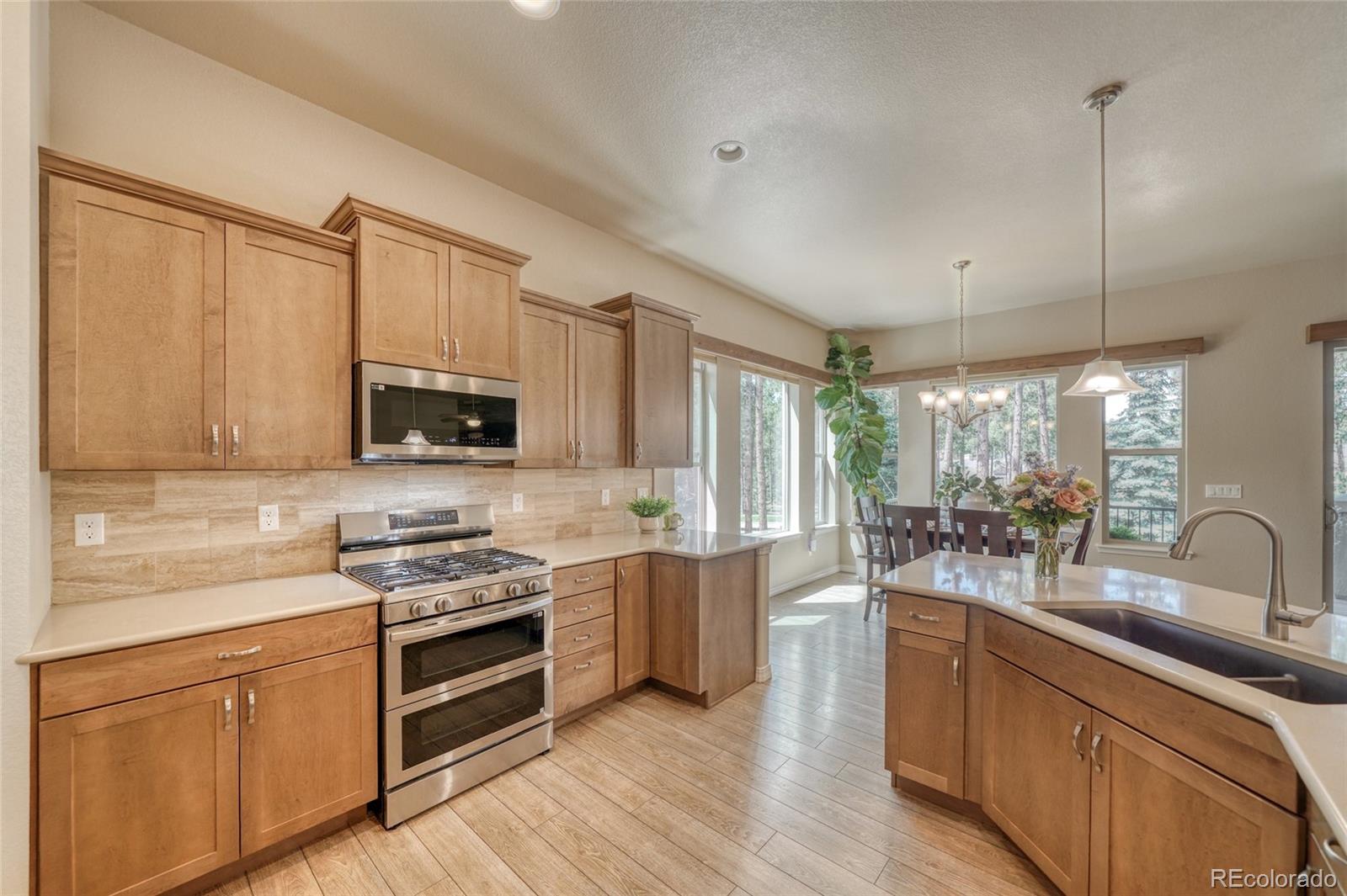 MLS Image #20 for 1782  summerglow lane,monument, Colorado