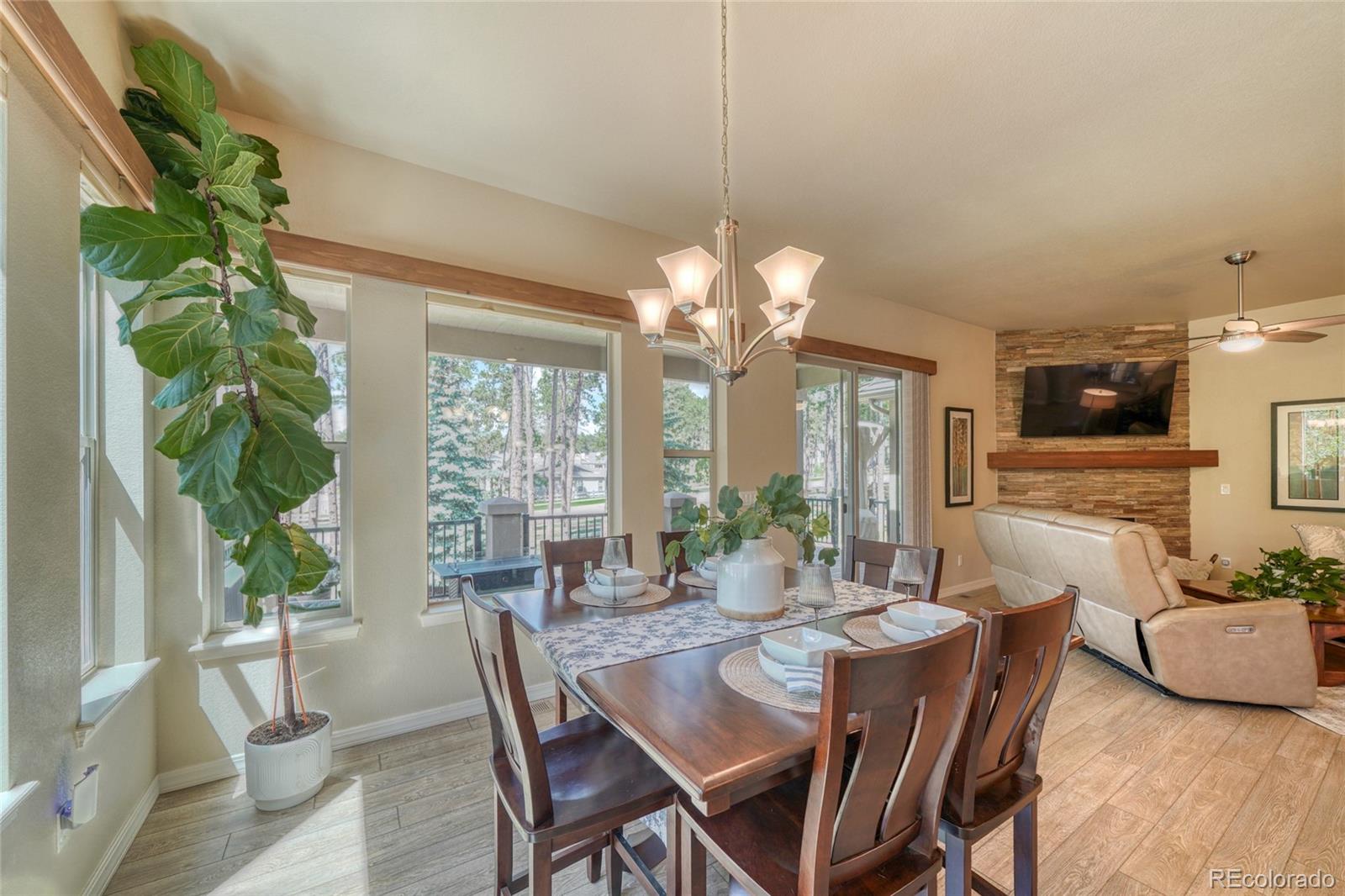 MLS Image #22 for 1782  summerglow lane,monument, Colorado