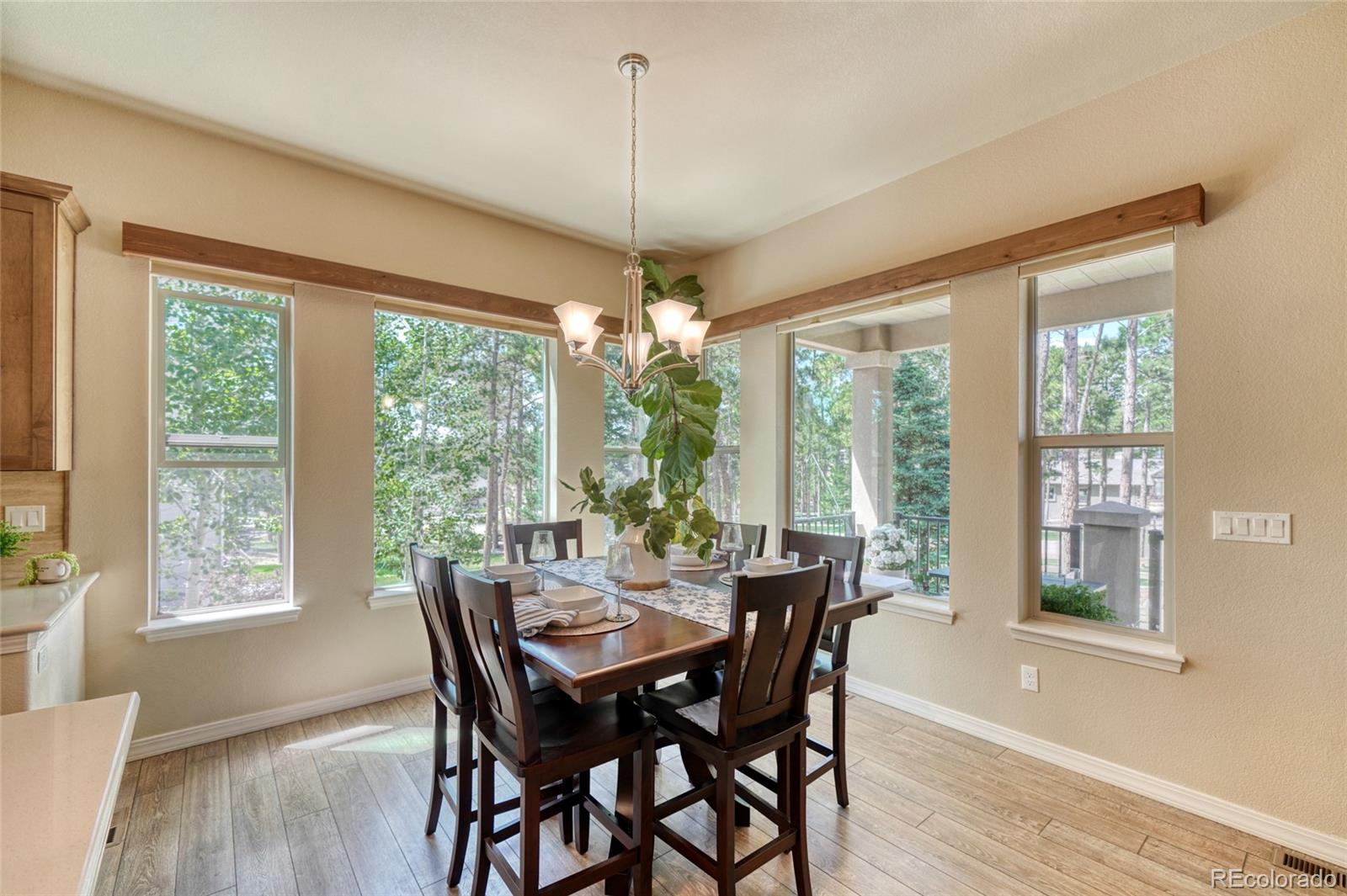 MLS Image #23 for 1782  summerglow lane,monument, Colorado