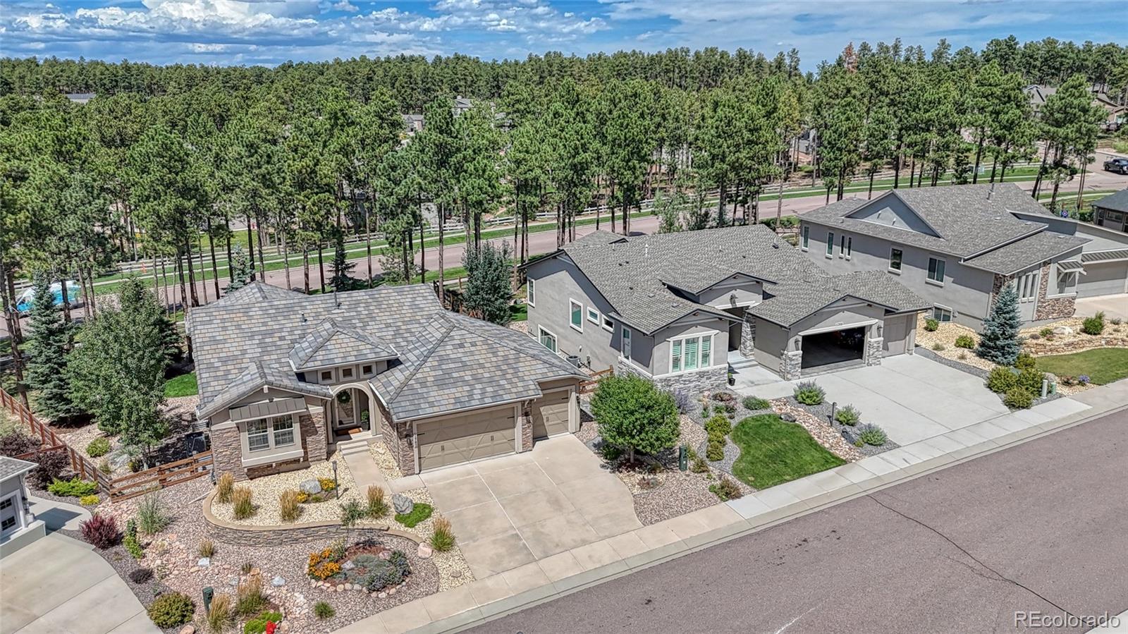 MLS Image #3 for 1782  summerglow lane,monument, Colorado