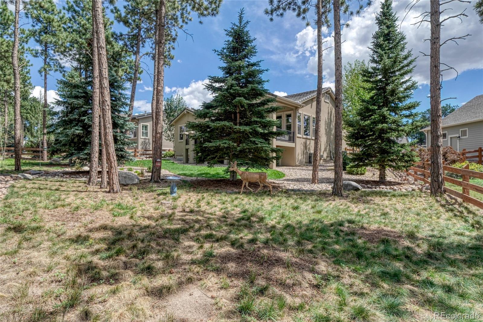 MLS Image #48 for 1782  summerglow lane,monument, Colorado