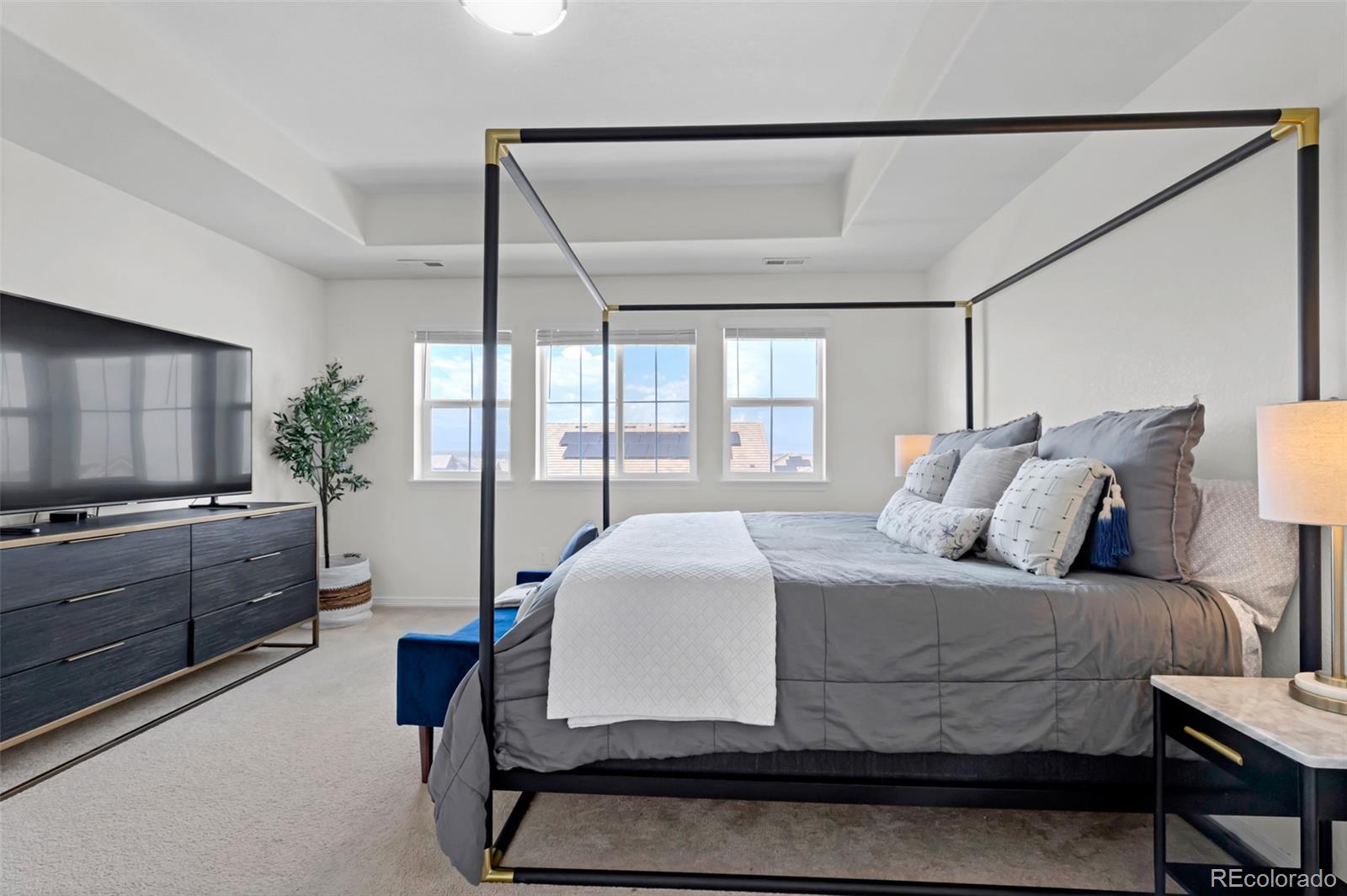 MLS Image #21 for 16263  mount mestas way,broomfield, Colorado