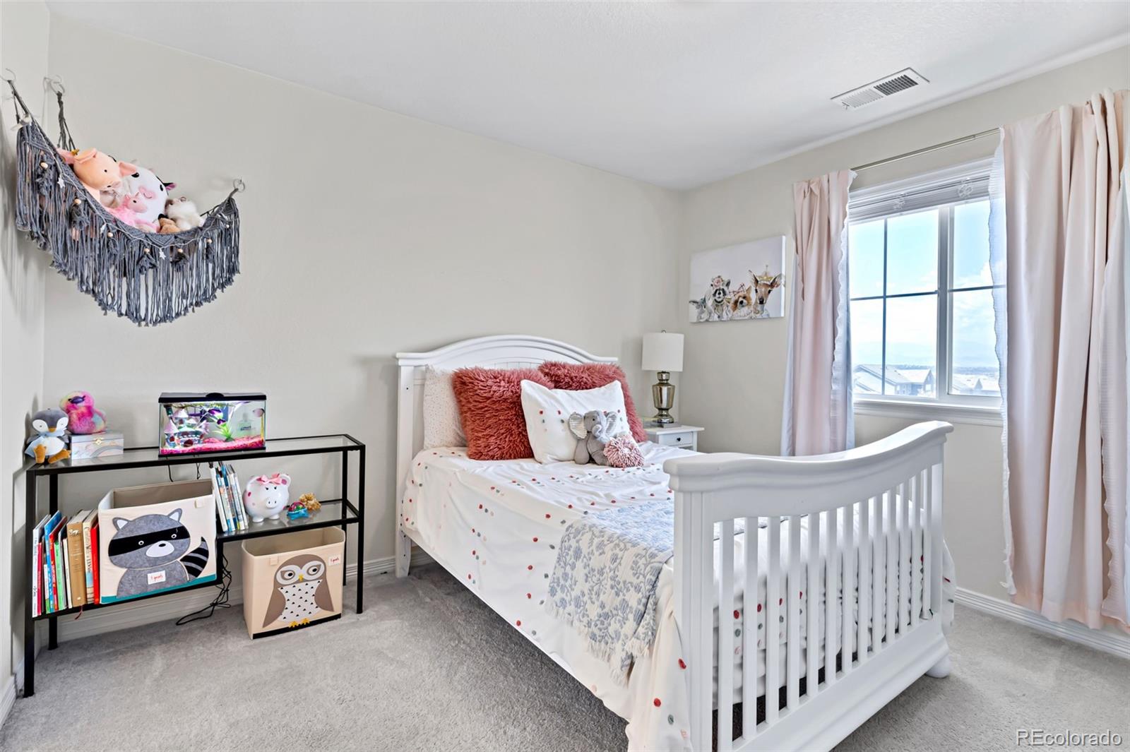 MLS Image #28 for 16263  mount mestas way,broomfield, Colorado