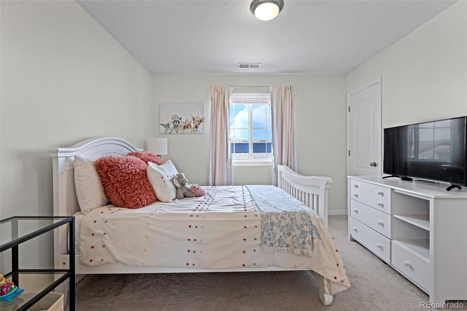 MLS Image #29 for 16263  mount mestas way,broomfield, Colorado