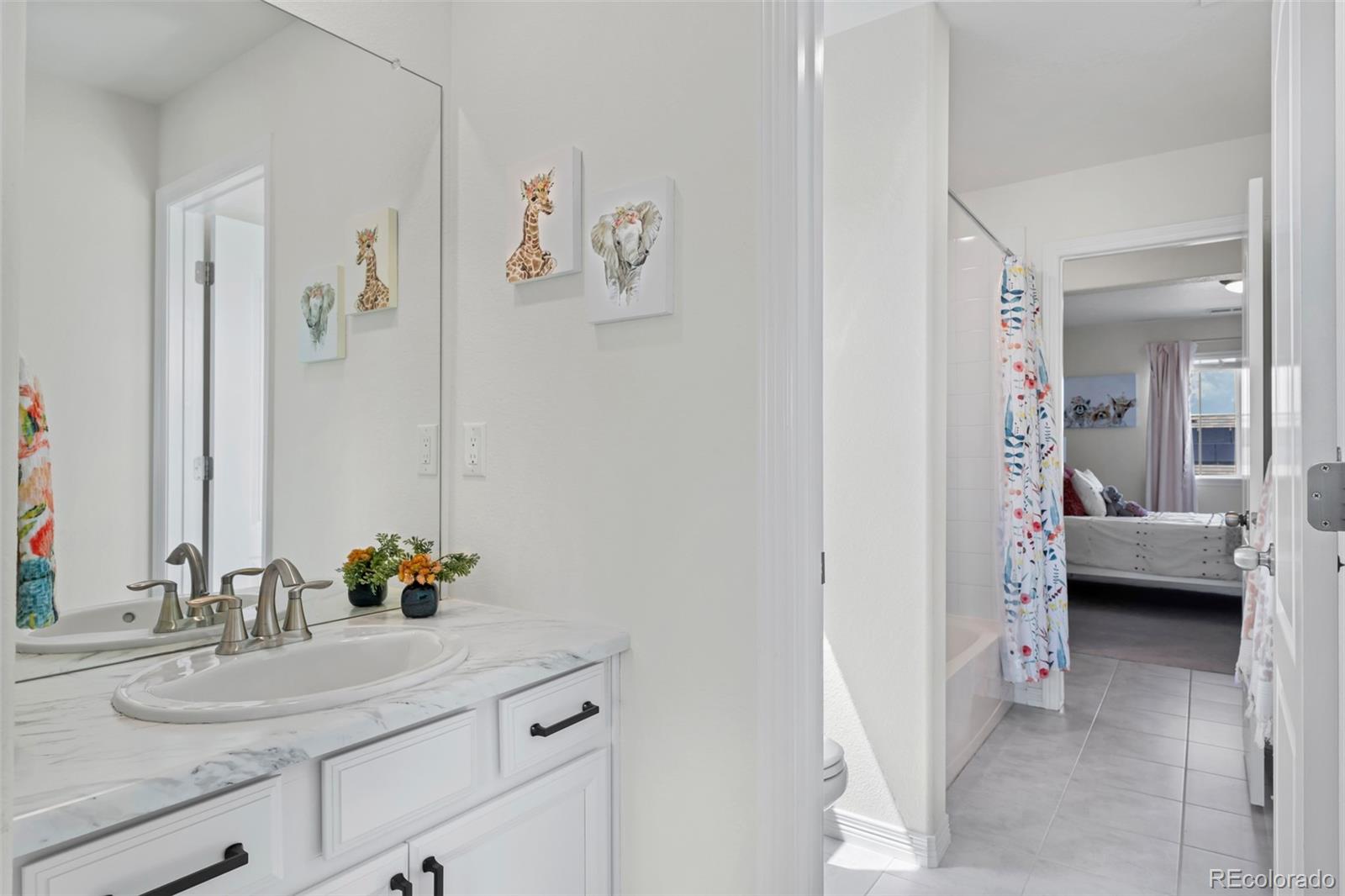 MLS Image #30 for 16263  mount mestas way,broomfield, Colorado