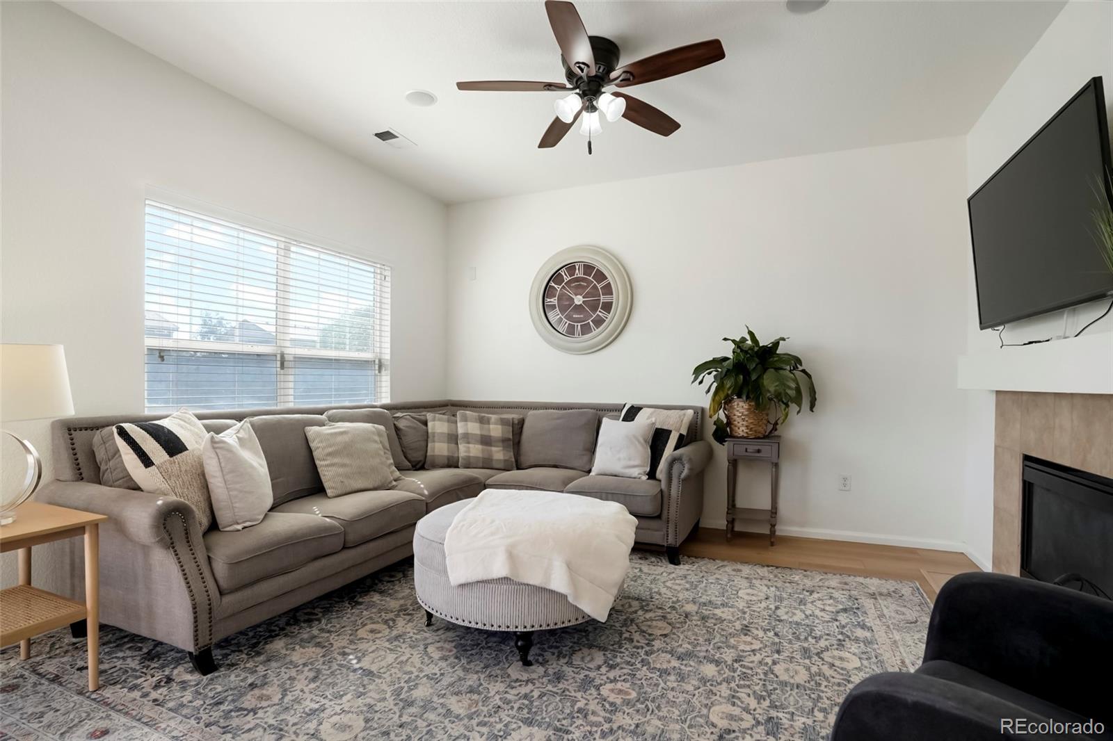 MLS Image #5 for 228  peabody street,castle rock, Colorado
