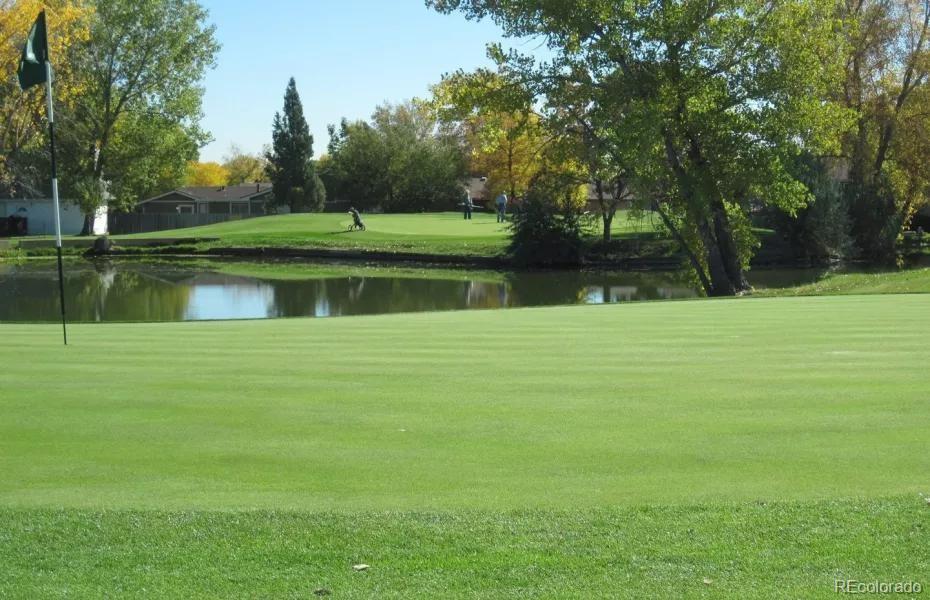 MLS Image #35 for 37  evergreen street,broomfield, Colorado