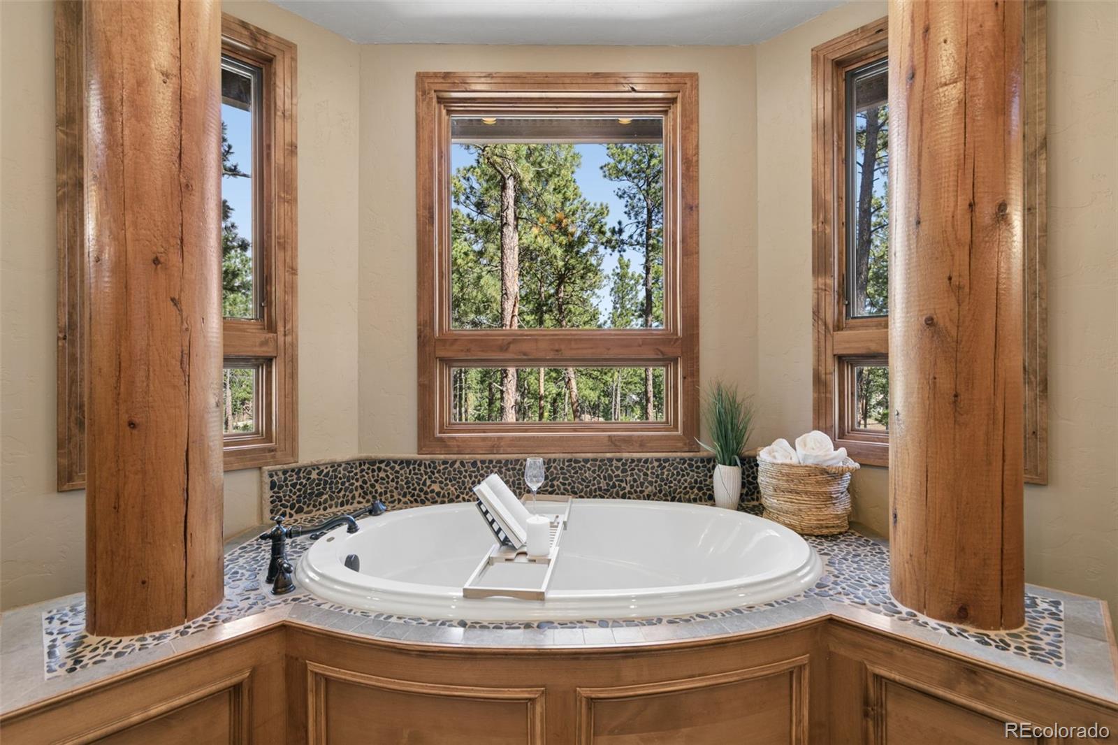 MLS Image #20 for 4945  saxton hollow road,colorado springs, Colorado
