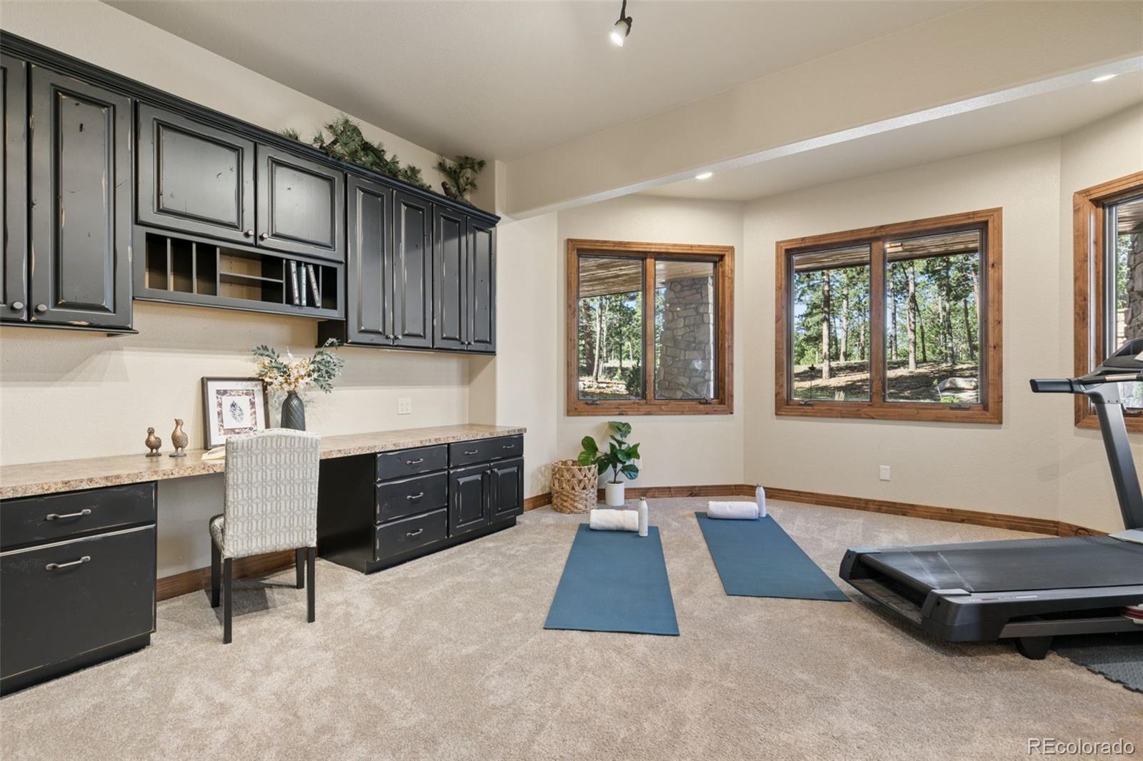MLS Image #34 for 4945  saxton hollow road,colorado springs, Colorado