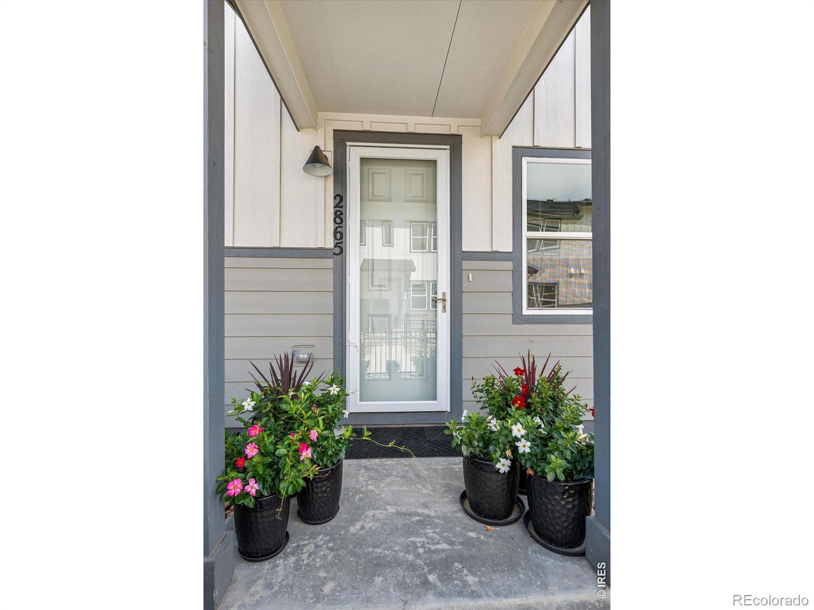 MLS Image #2 for 2865  bear springs circle,longmont, Colorado