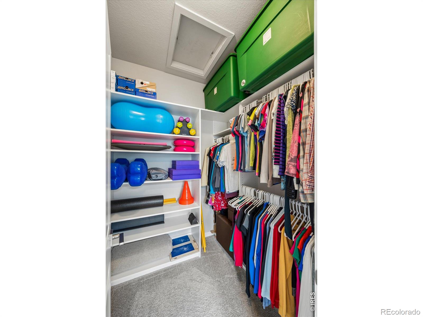 MLS Image #25 for 2865  bear springs circle,longmont, Colorado