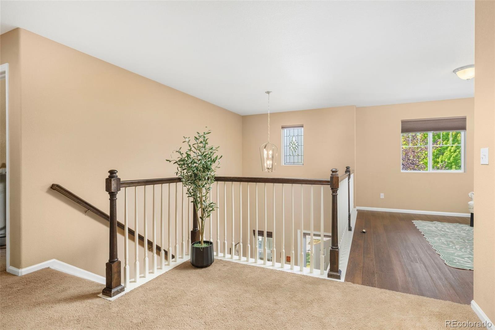 MLS Image #14 for 6246  walnut grove street,erie, Colorado