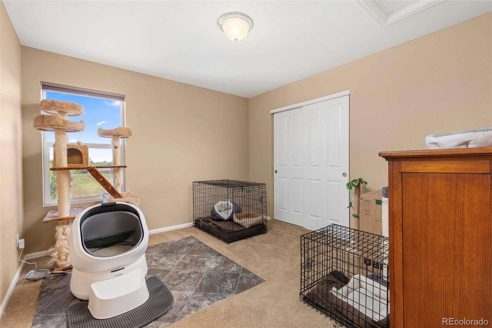 MLS Image #22 for 6246  walnut grove street,erie, Colorado