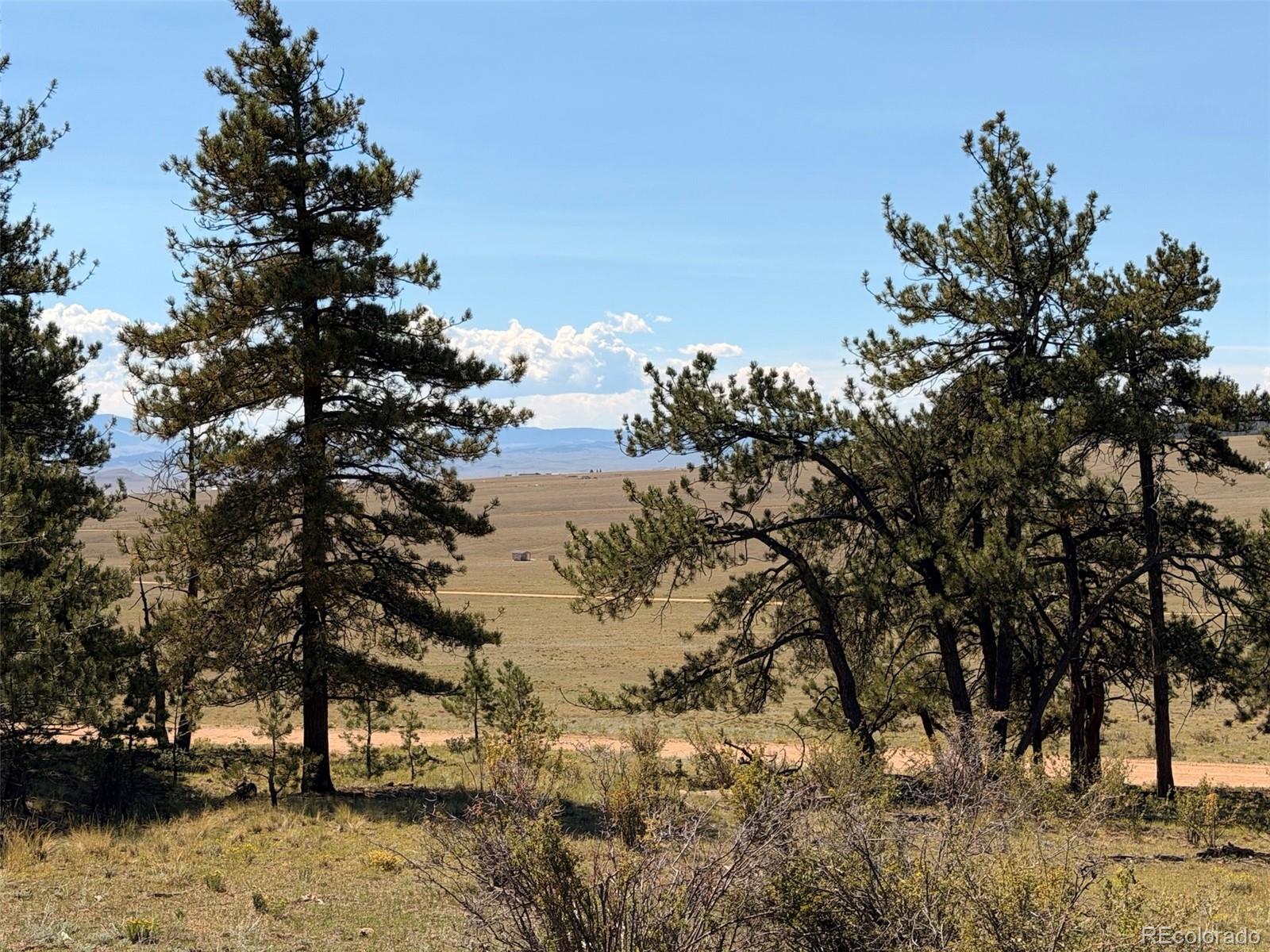 MLS Image #25 for 1199  jefferson road,hartsel, Colorado