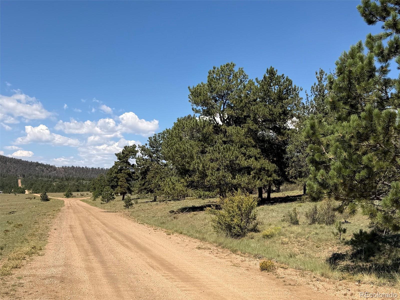 MLS Image #28 for 1199  jefferson road,hartsel, Colorado