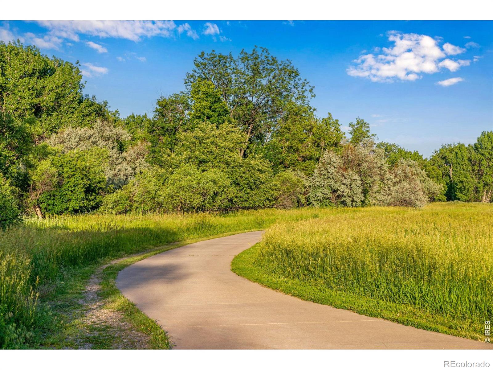 MLS Image #18 for 149  mathews street,fort collins, Colorado