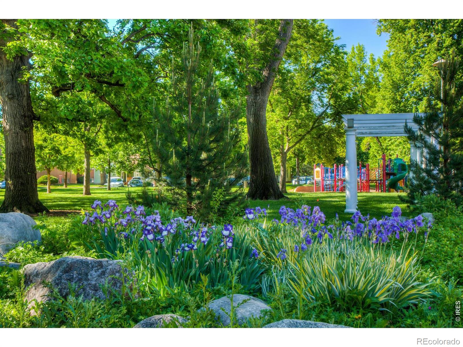MLS Image #20 for 226 e oak street,fort collins, Colorado