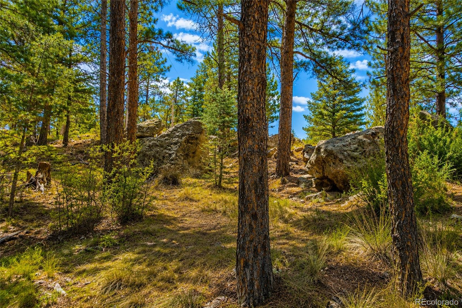 MLS Image #44 for 19084  county road 31.9 ,weston, Colorado