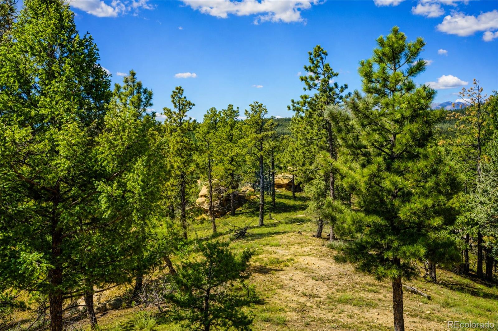 MLS Image #45 for 19084  county road 31.9 ,weston, Colorado