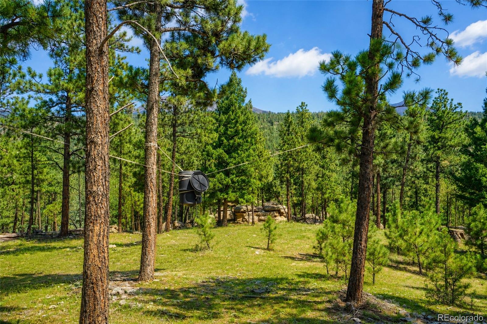 MLS Image #46 for 19084  county road 31.9 ,weston, Colorado