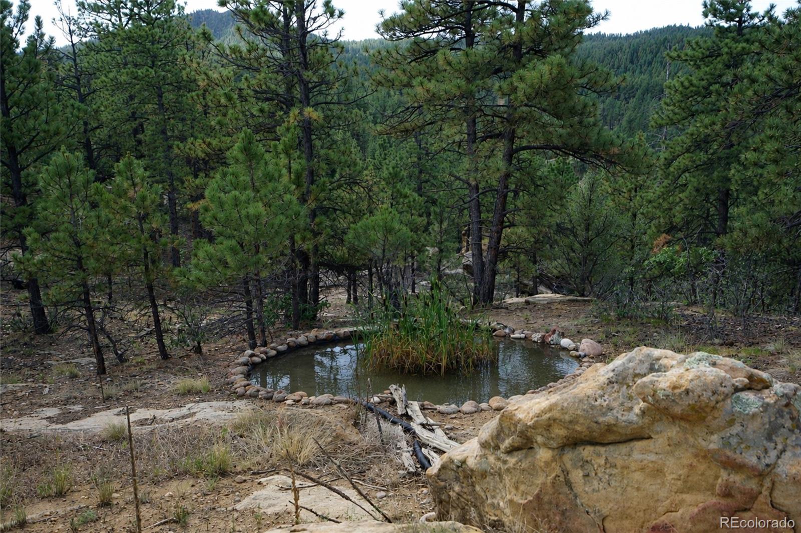 MLS Image #9 for 19084  county road 31.9 ,weston, Colorado