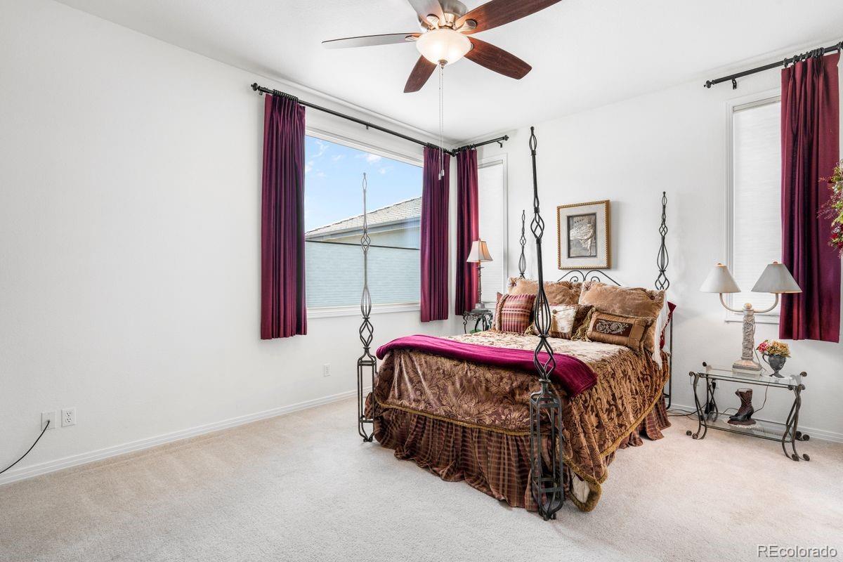 MLS Image #18 for 6653  bright water trail,littleton, Colorado