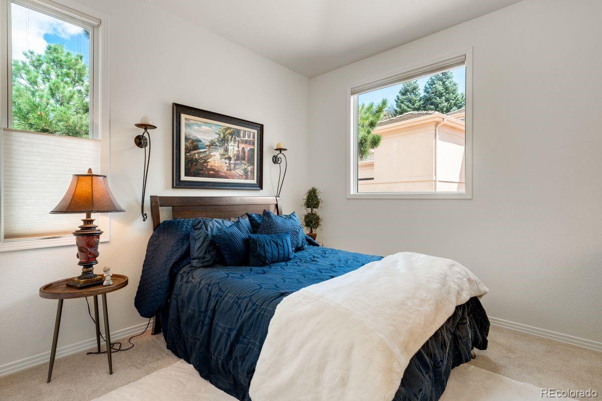MLS Image #23 for 6653  bright water trail,littleton, Colorado