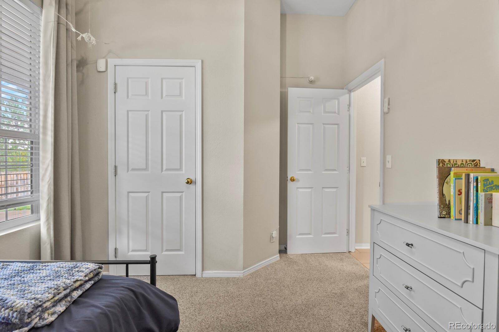 MLS Image #19 for 16700  cielo court,parker, Colorado