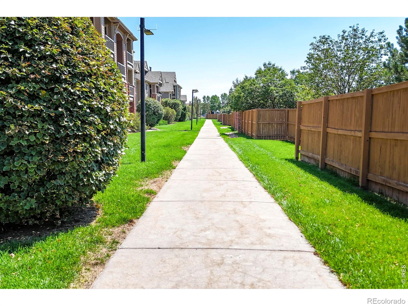 MLS Image #3 for 2133  krisron road,fort collins, Colorado