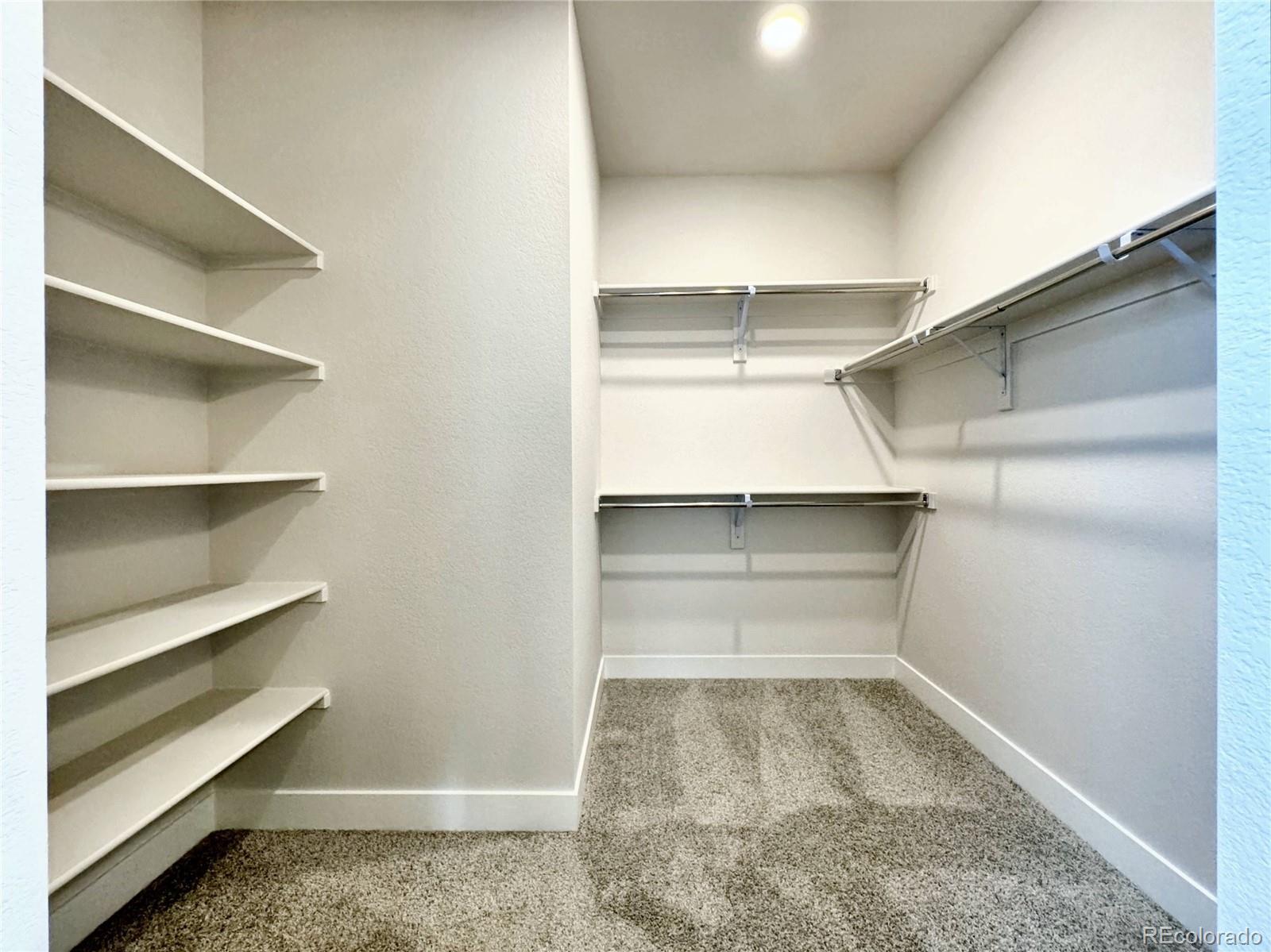 MLS Image #19 for 2309  drummle drive,castle rock, Colorado