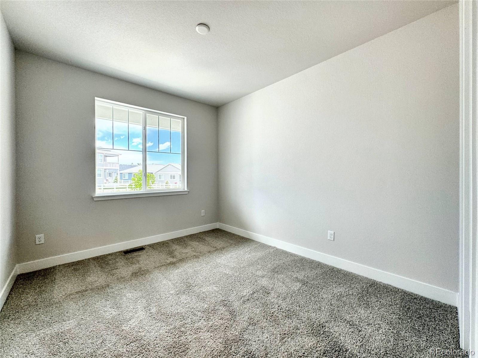 MLS Image #5 for 2309  drummle drive,castle rock, Colorado