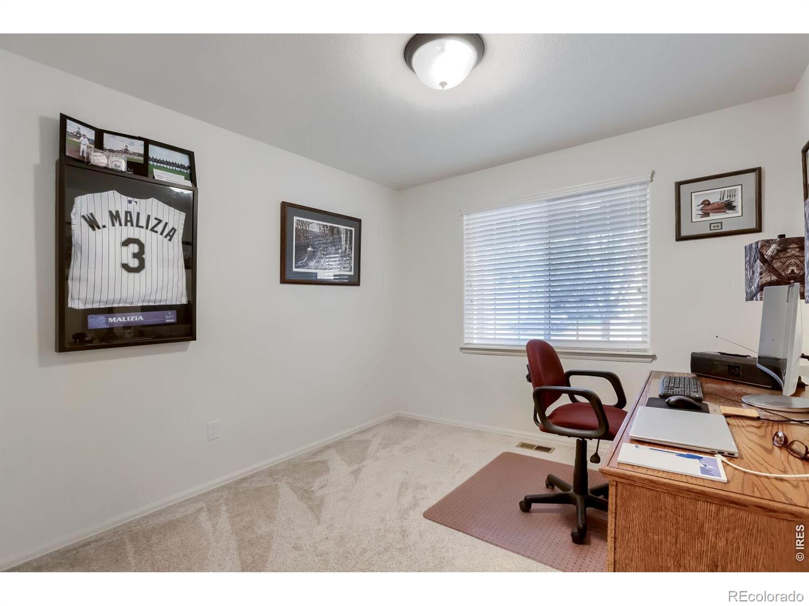 MLS Image #17 for 3432  curlew drive,berthoud, Colorado