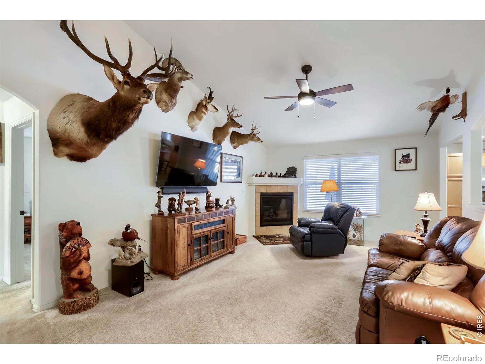 MLS Image #4 for 3432  curlew drive,berthoud, Colorado