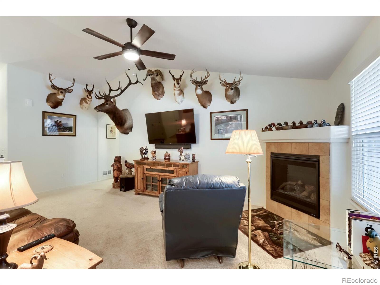 MLS Image #5 for 3432  curlew drive,berthoud, Colorado