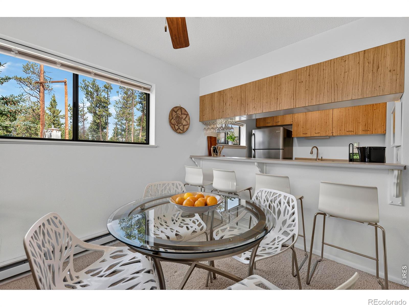 MLS Image #9 for 444  county road 832 ,fraser, Colorado