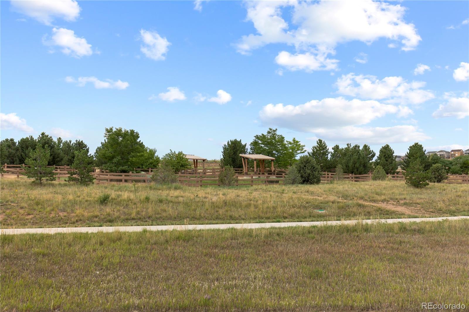 MLS Image #21 for 3794  ghost dance drive,castle rock, Colorado