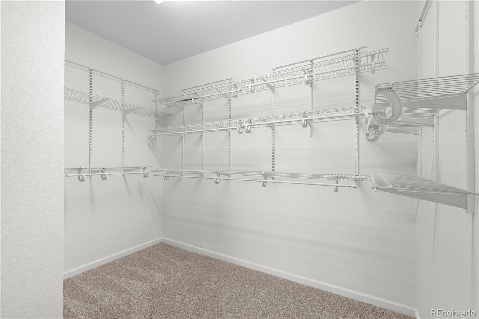 MLS Image #25 for 3794  ghost dance drive,castle rock, Colorado