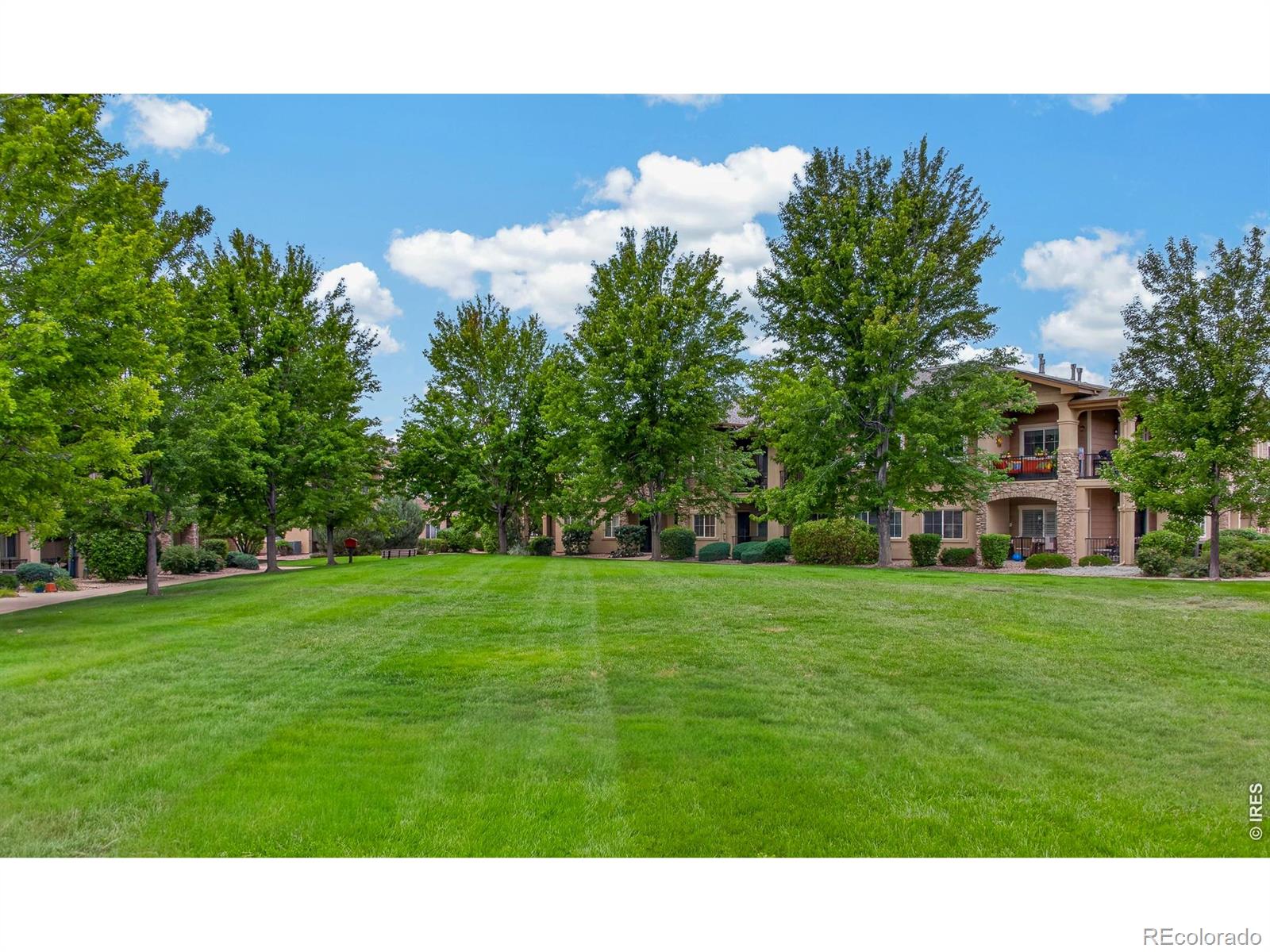 MLS Image #28 for 2125  calais drive,longmont, Colorado
