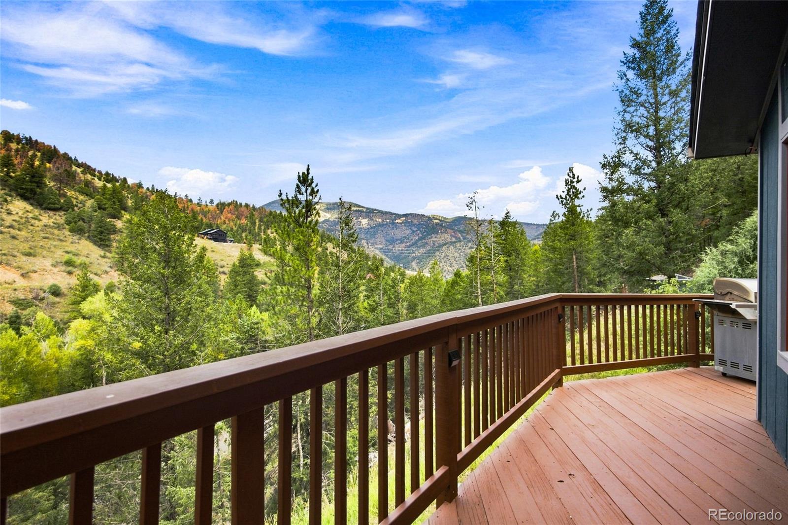 MLS Image #21 for 812  soda creek road,idaho springs, Colorado