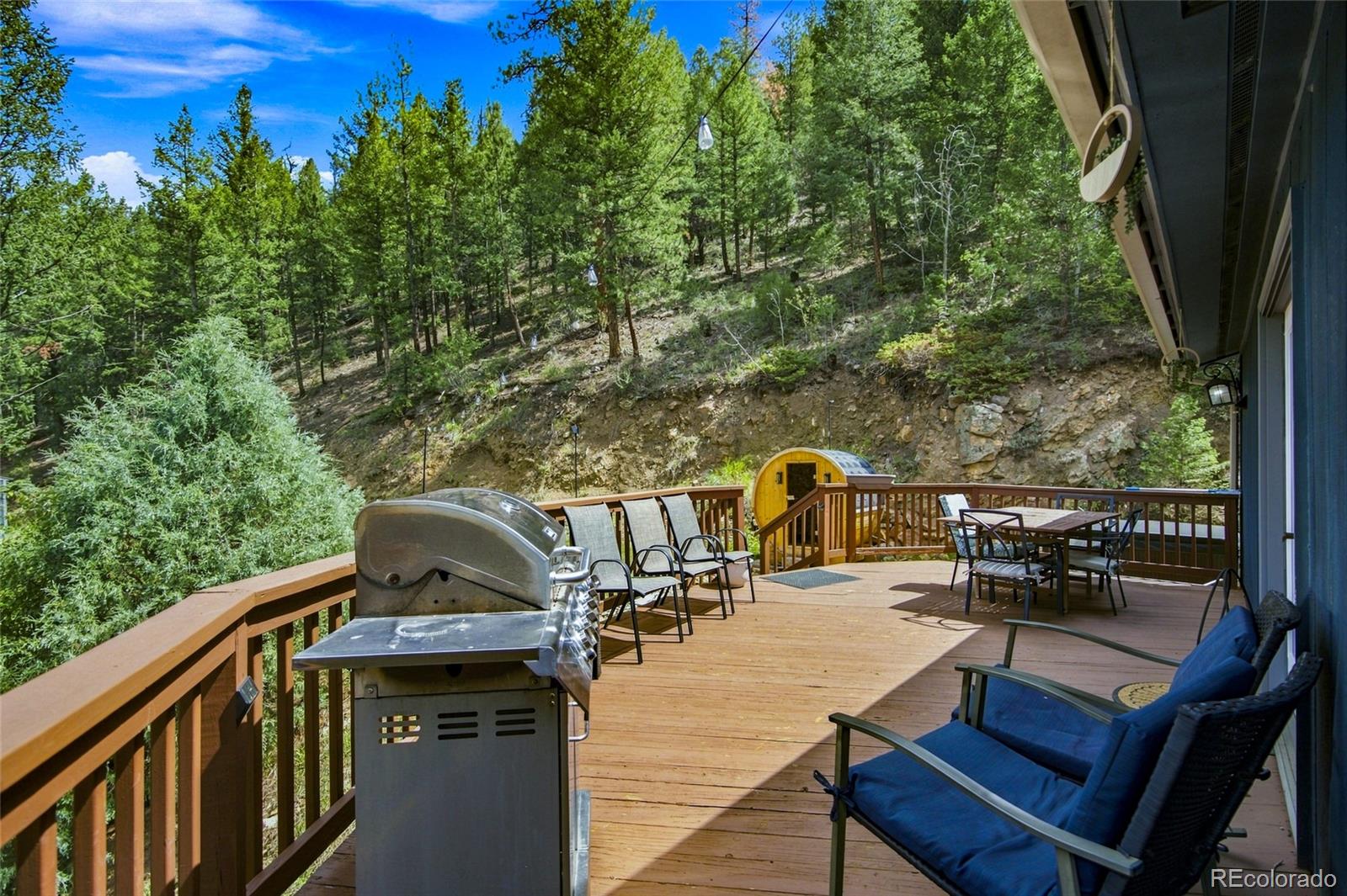 MLS Image #22 for 812  soda creek road,idaho springs, Colorado