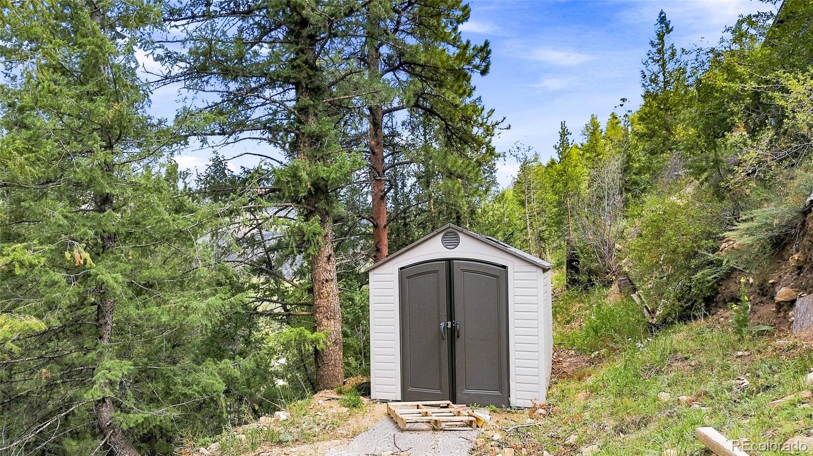 MLS Image #28 for 812  soda creek road,idaho springs, Colorado