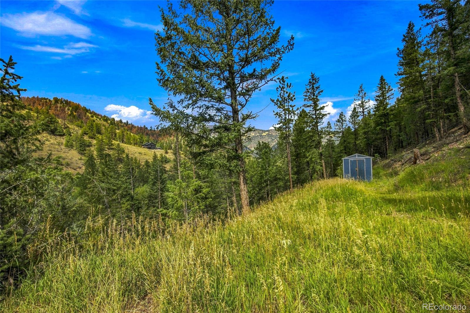 MLS Image #30 for 812  soda creek road,idaho springs, Colorado