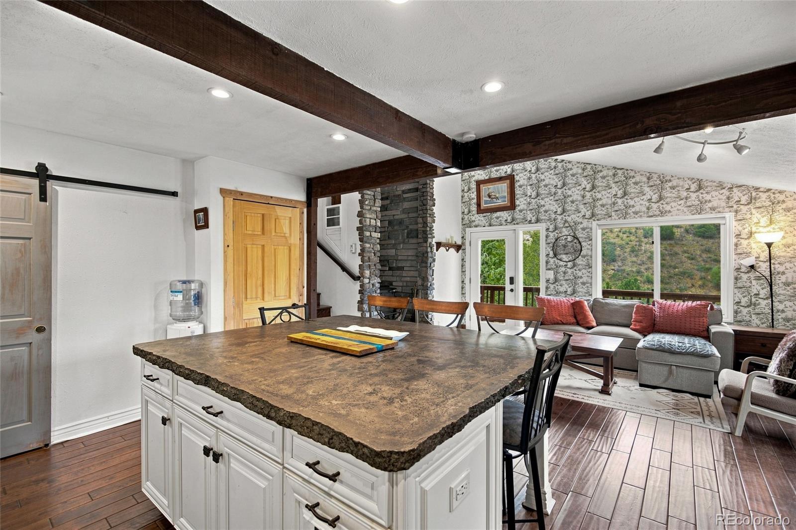MLS Image #8 for 812  soda creek road,idaho springs, Colorado