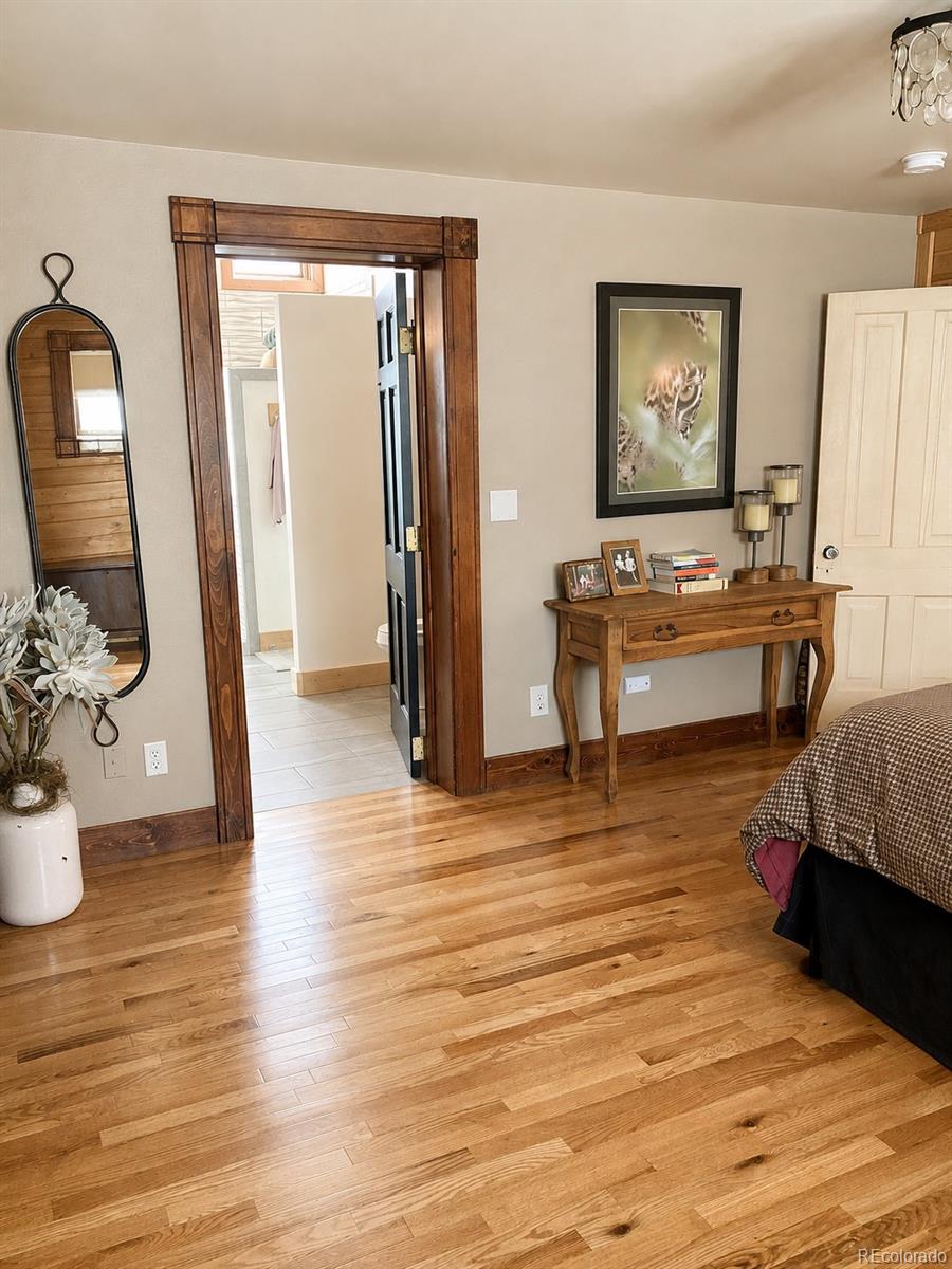 MLS Image #13 for 225 e 8th street,leadville, Colorado