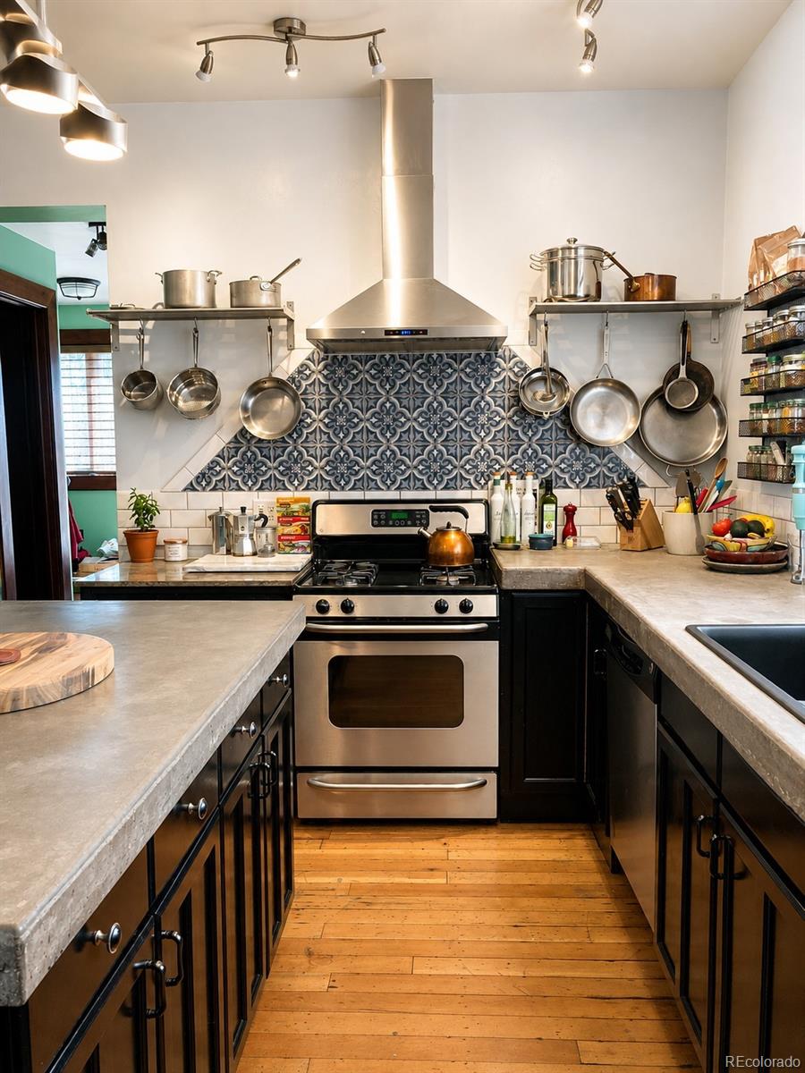 MLS Image #6 for 225 e 8th street,leadville, Colorado